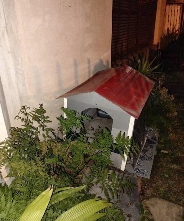 Atraparon a un ladrón de automóviles que se había escondido en una cucha de perro