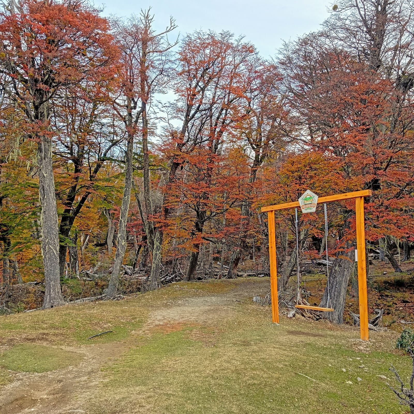 Los intensos colores del bosque en el inicio de la caminata a Laguna Verde