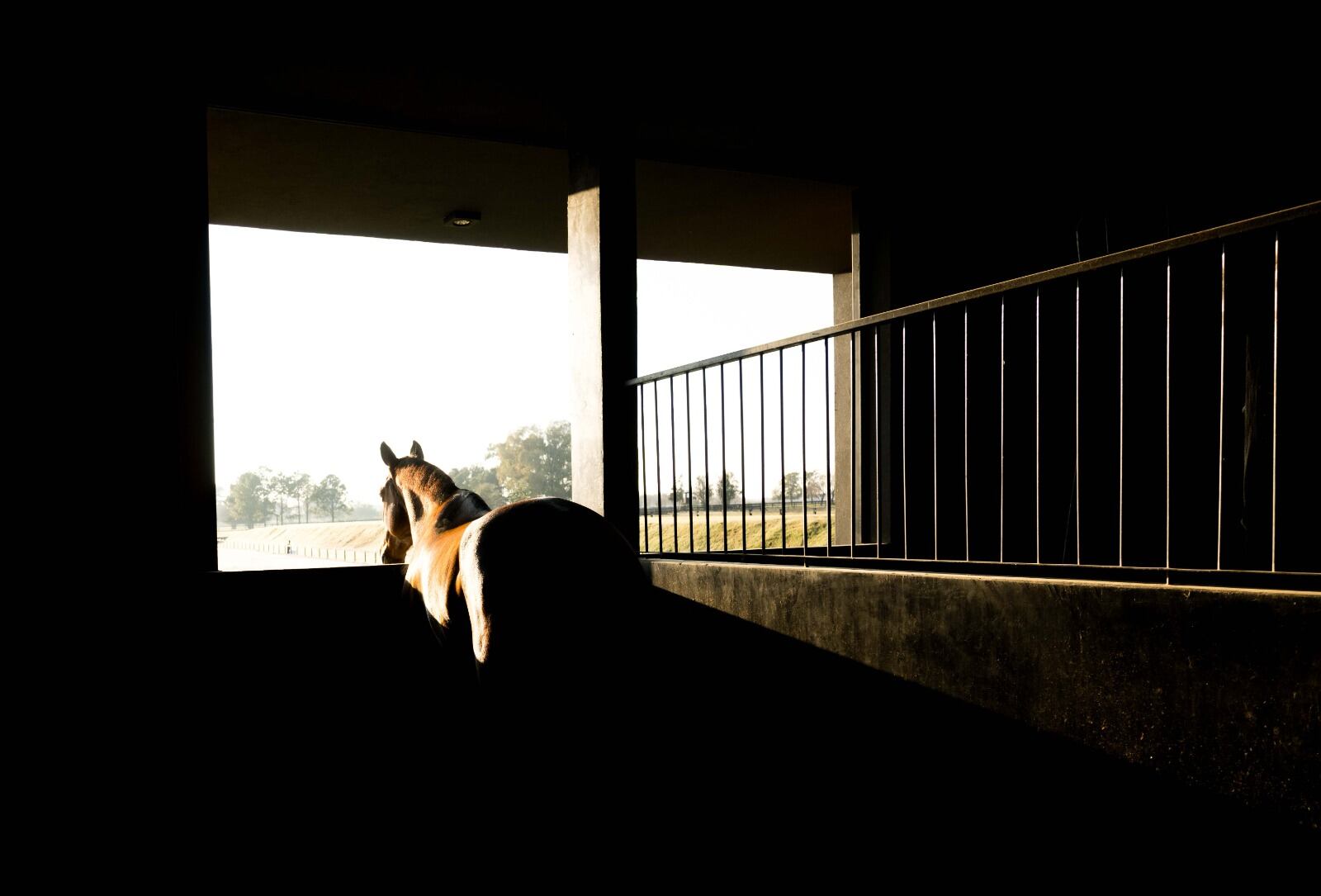 Los caballos, imán de una zona que promete un crecimiento inmobiliario