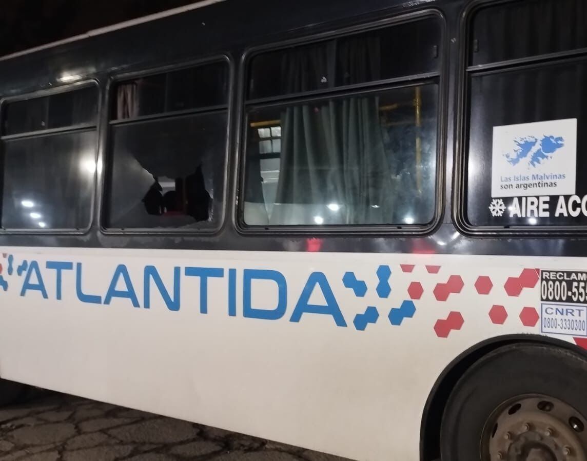 Paro de colectivos: atacaron a varios colectivos de la empresa DOTA que no se adhiere a la medida de fuerza.