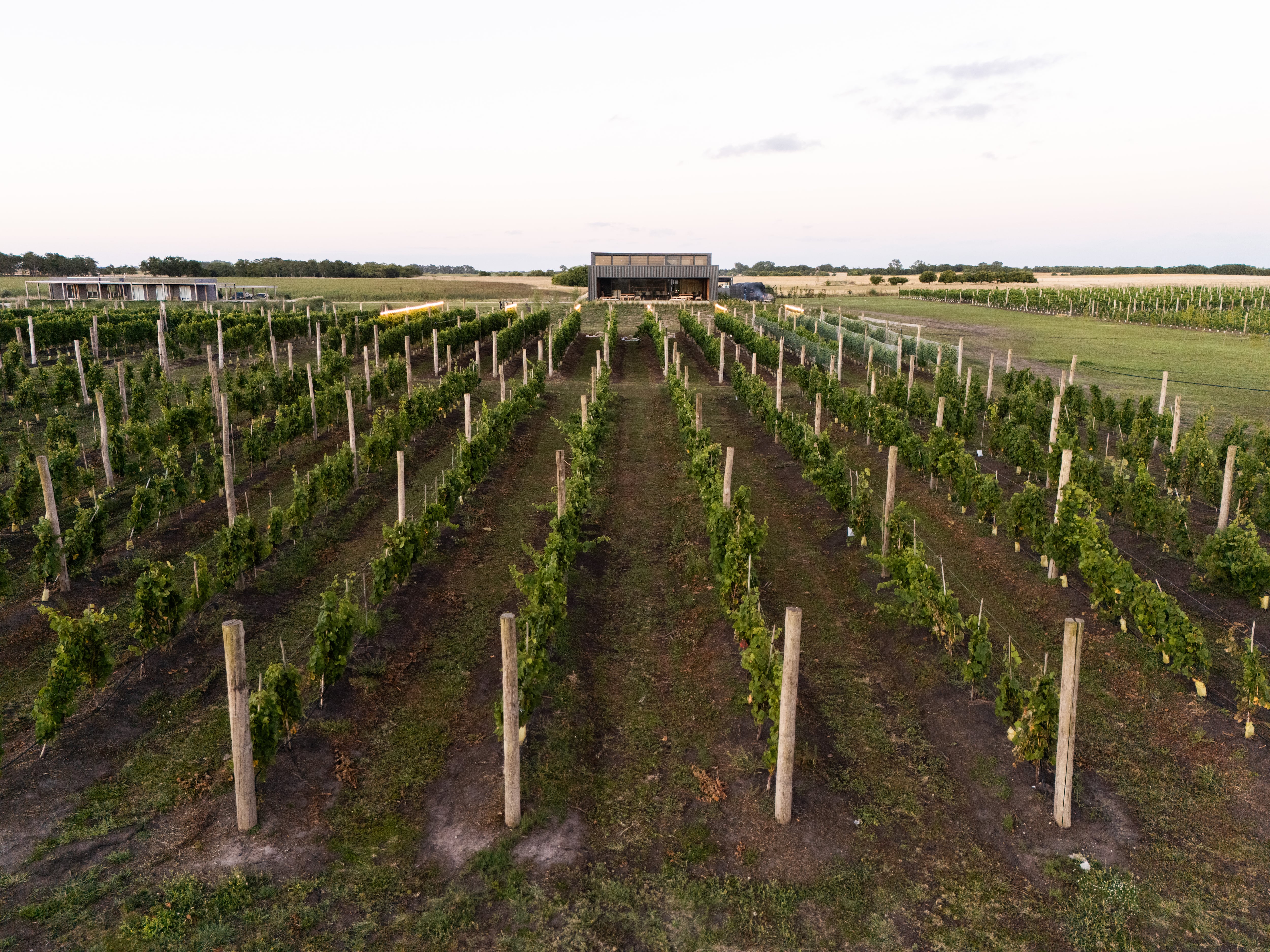 Picnics entre viñedos. Una bodega para visitar a solo media hora de Pinamar