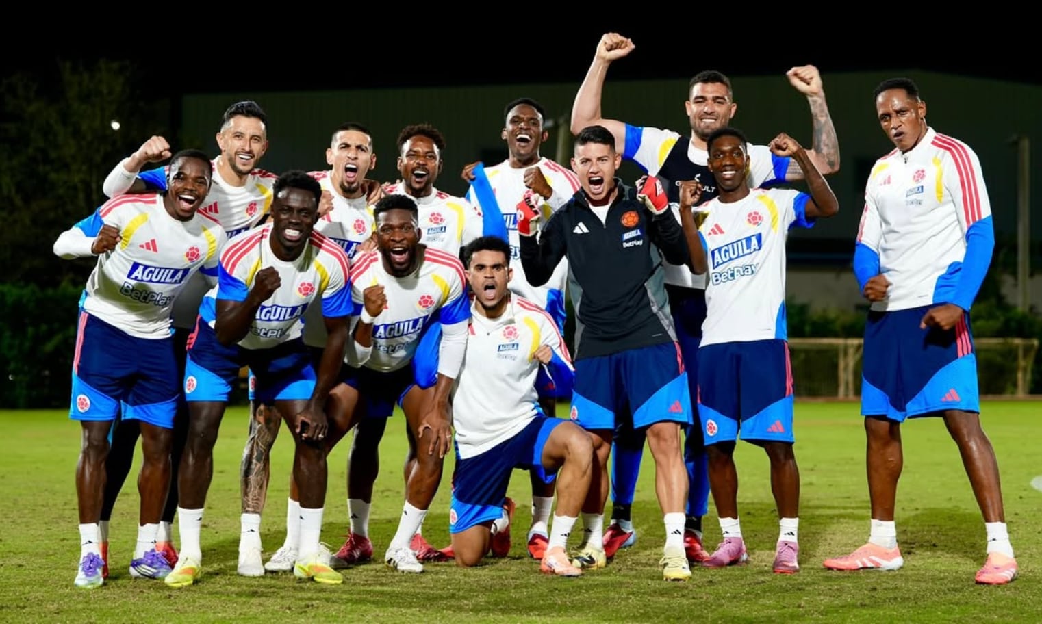 La selección colombiana deberá superar sus tres primeros partidos para lograr una buena posición y llegar a la siguiente fase del Mundial 2026 (Instagram/@fcfseleccioncol)