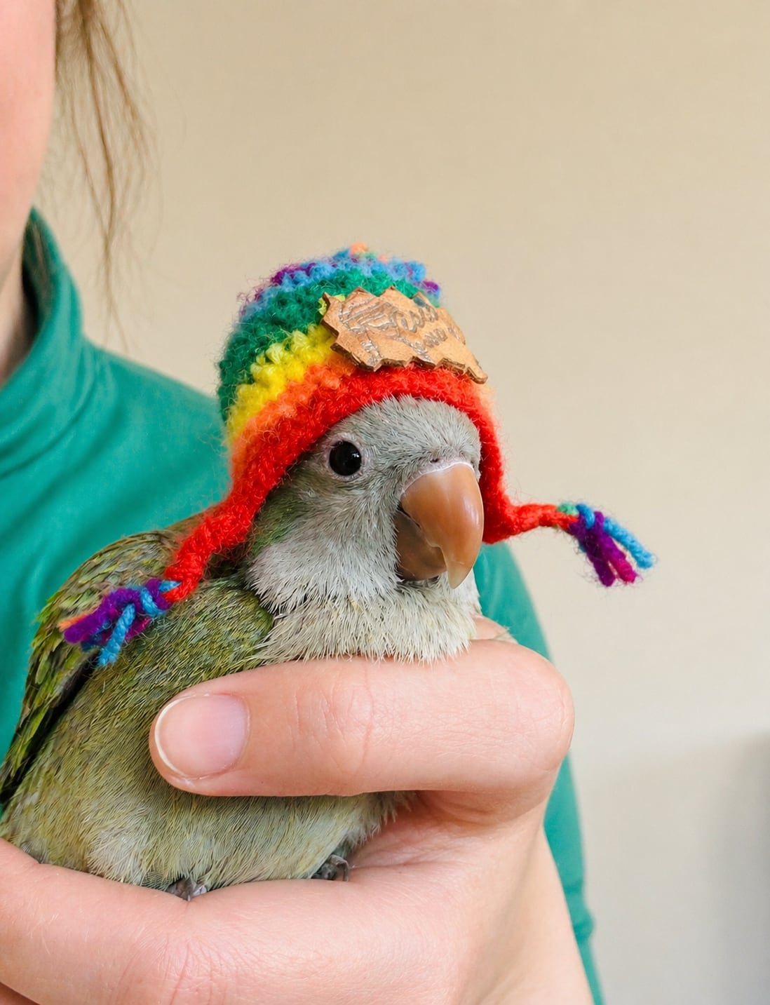 Chiqui Mc es una cotorra argentina (Myiopsitta monachus), las famosas “catitas”.