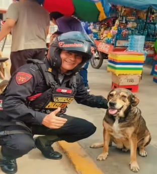 La Policía Nacional del Perú le rindió un emotivo homenaje a uno de sus compañeros más queridos