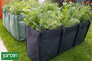 Una opción económica para poder cultivar tus verduras en el patio o el balcón