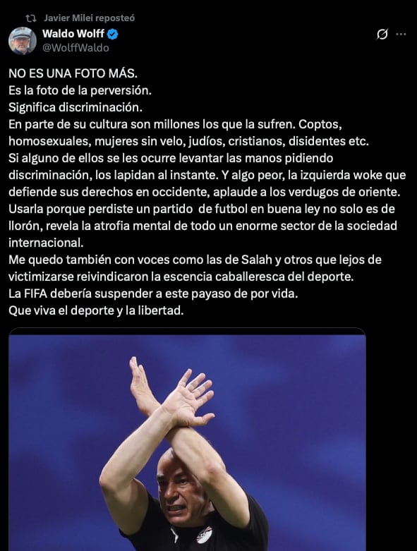 El posteo de Waldo Wolff en X