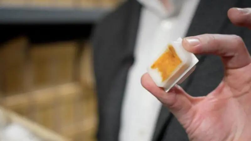 Las muestras se almacenan en cera para su preservación