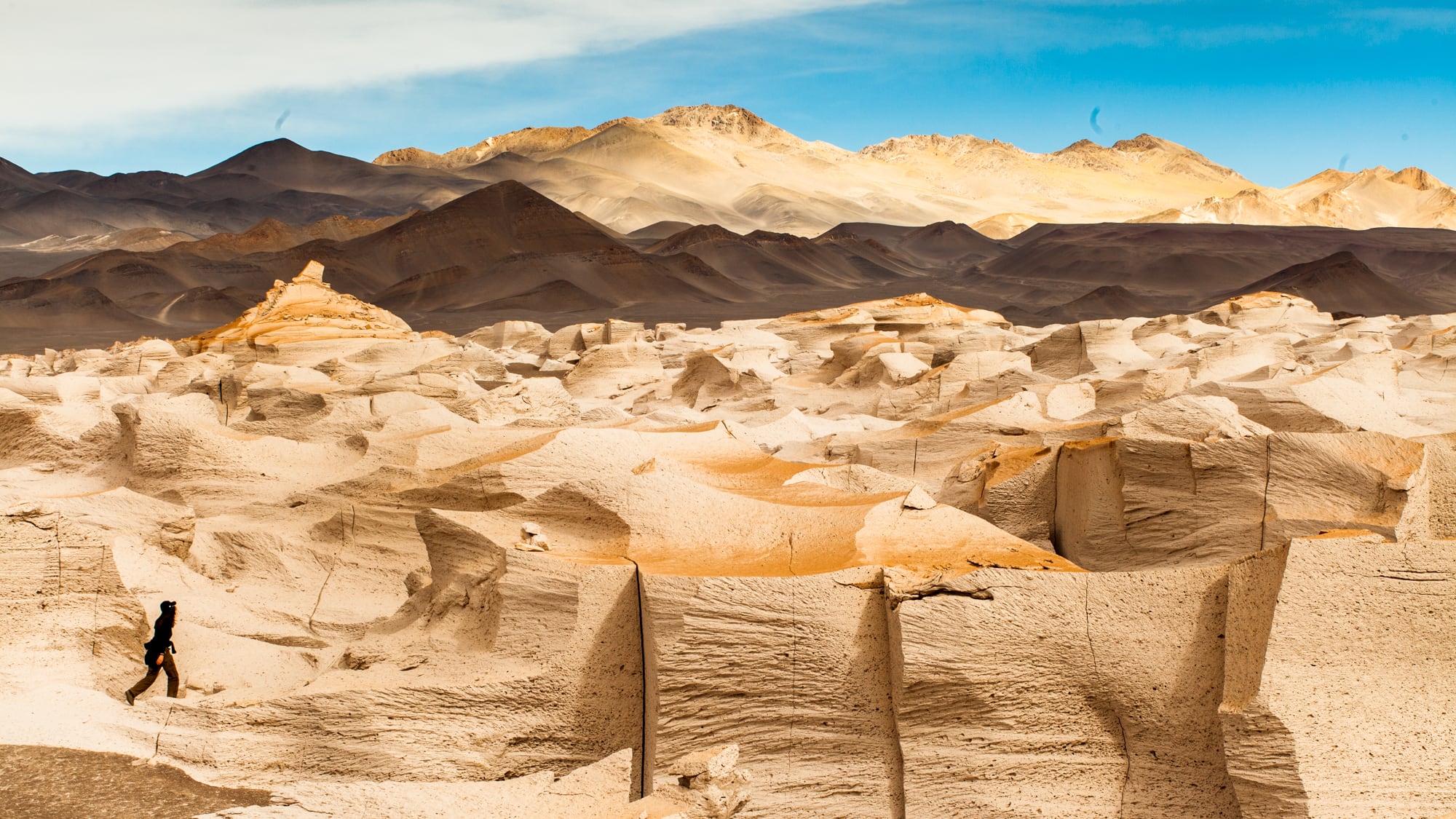 Catamarca: el plan para preservar un paraíso de flamencos y biodiversidad que irrumpe en un desierto inhóspito