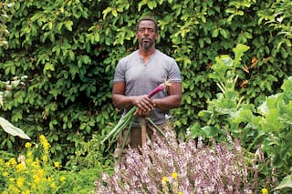 ¿Cómo se podrá alimentar al mundo en los próximos 30 años?