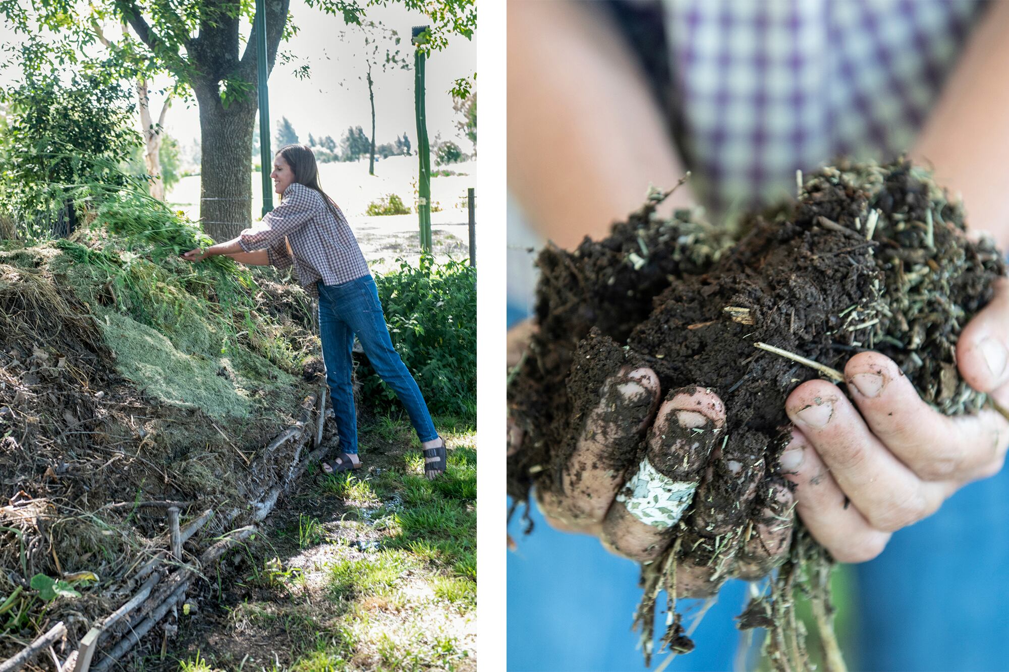 “Todo queda en el jardín”, afirma Daiana. En la compostera se acumulan los restos de podas, césped y hojas que luego regresan a la tierra.