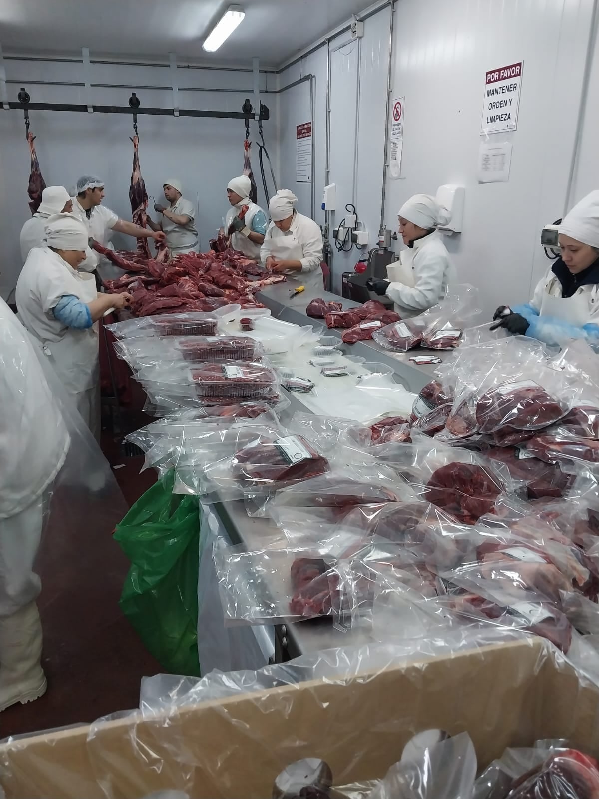 Carne de guanaco, en el Frigorífico Montecarlo, Río Gallegos, Santa Cruz