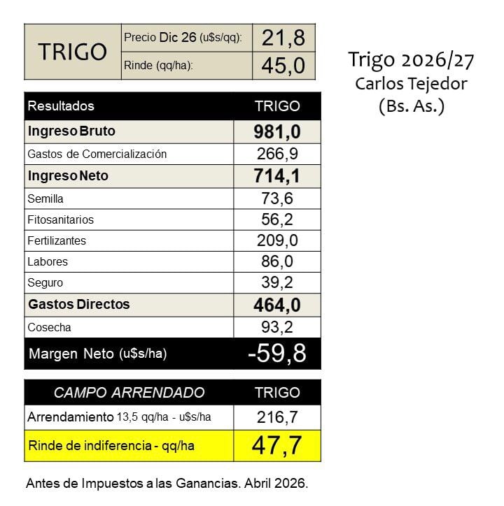 Margen de trigo en Carlos Tejedor