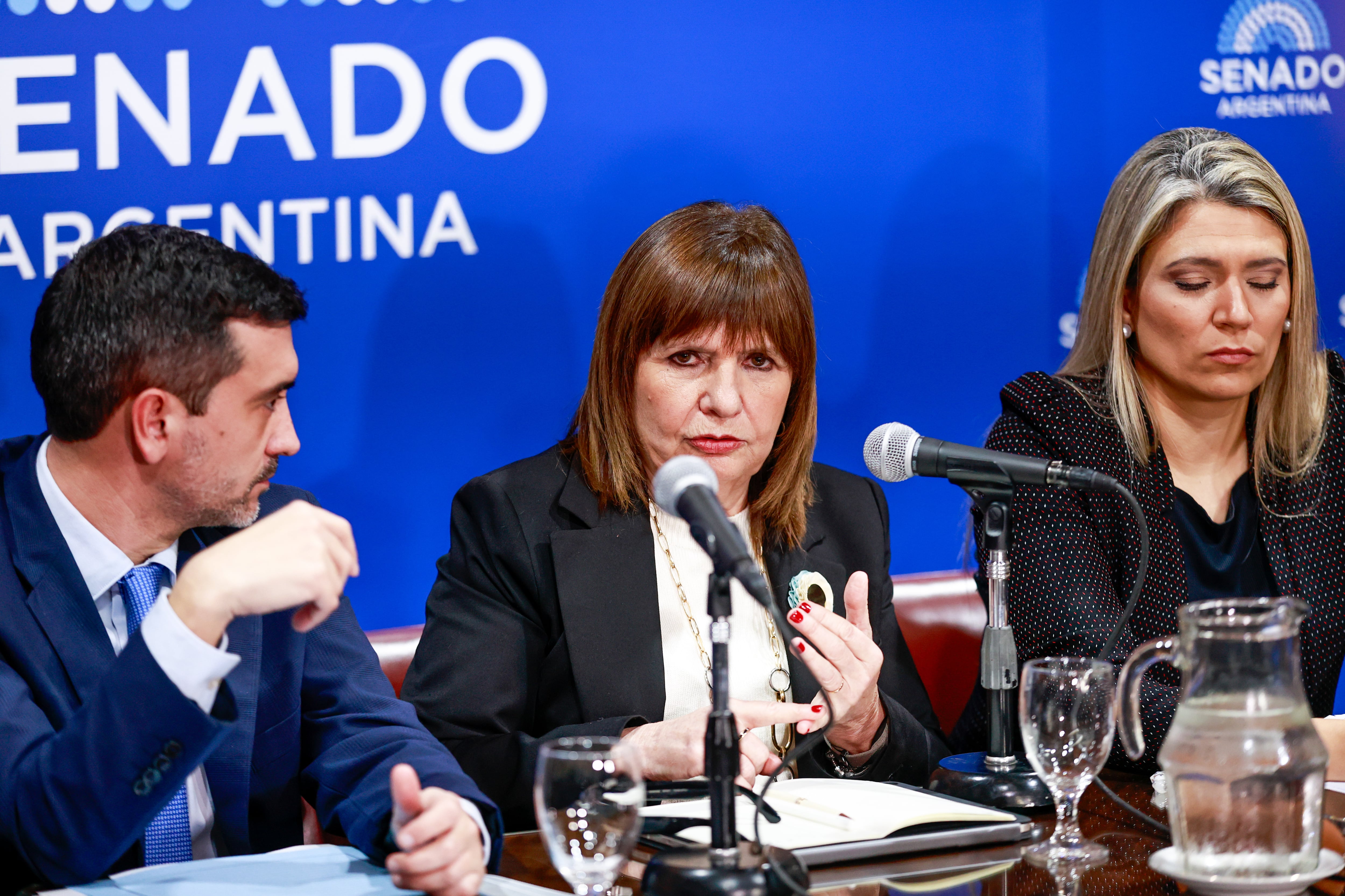 Bullrich cedió el capítulo de tierras ante sus aliados legislativos