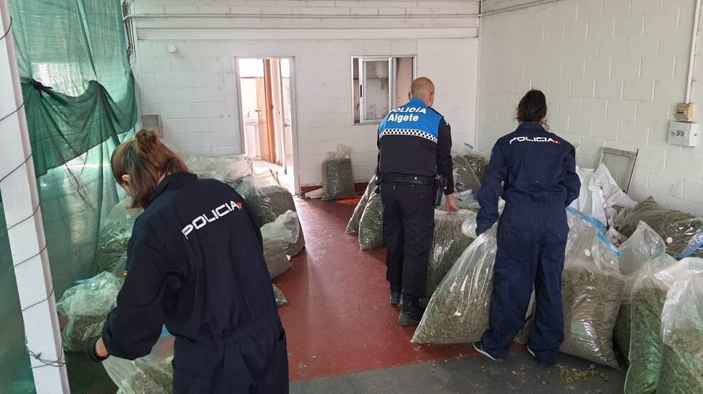 Parte de la droga incautada en los operativos contra los narcos mexicanos en Madrid