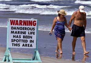 En New Smyrna Beach un cartel advierte sobre el peligro de nadar