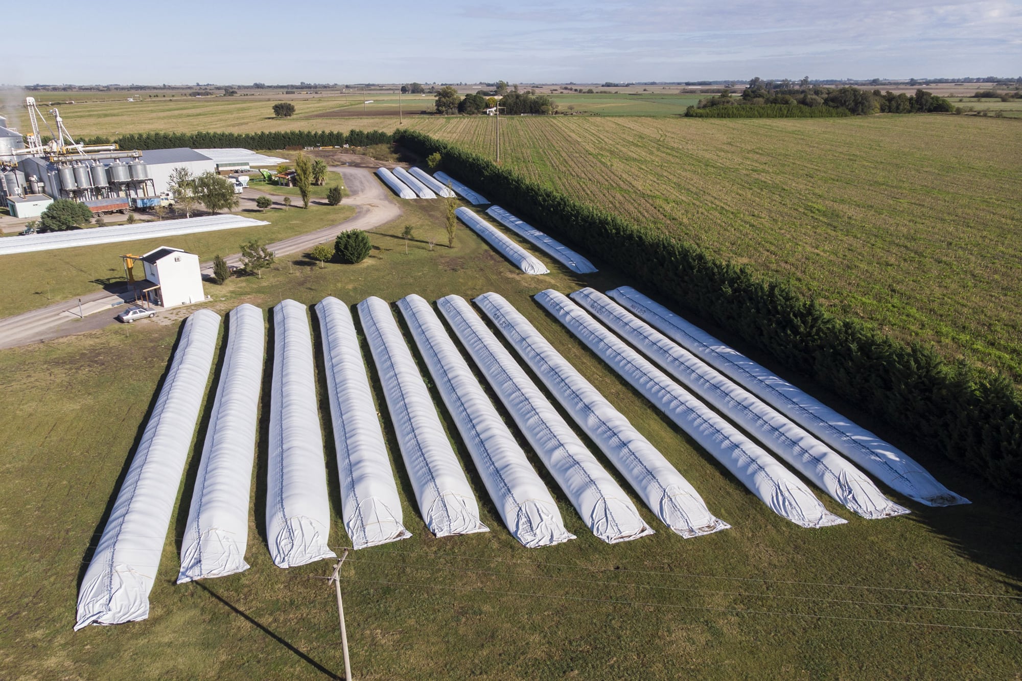 Buena noticia para Milei: se viene una cosecha récord de hasta 160 millones de toneladas y un aluvión de dólares