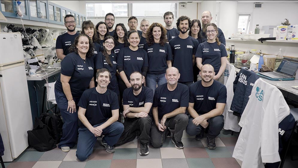 El taller realizado en julio de 2026 en Buenos Aires reunió a 20 taxonomistas e investigadores de toda América Latina y Europa