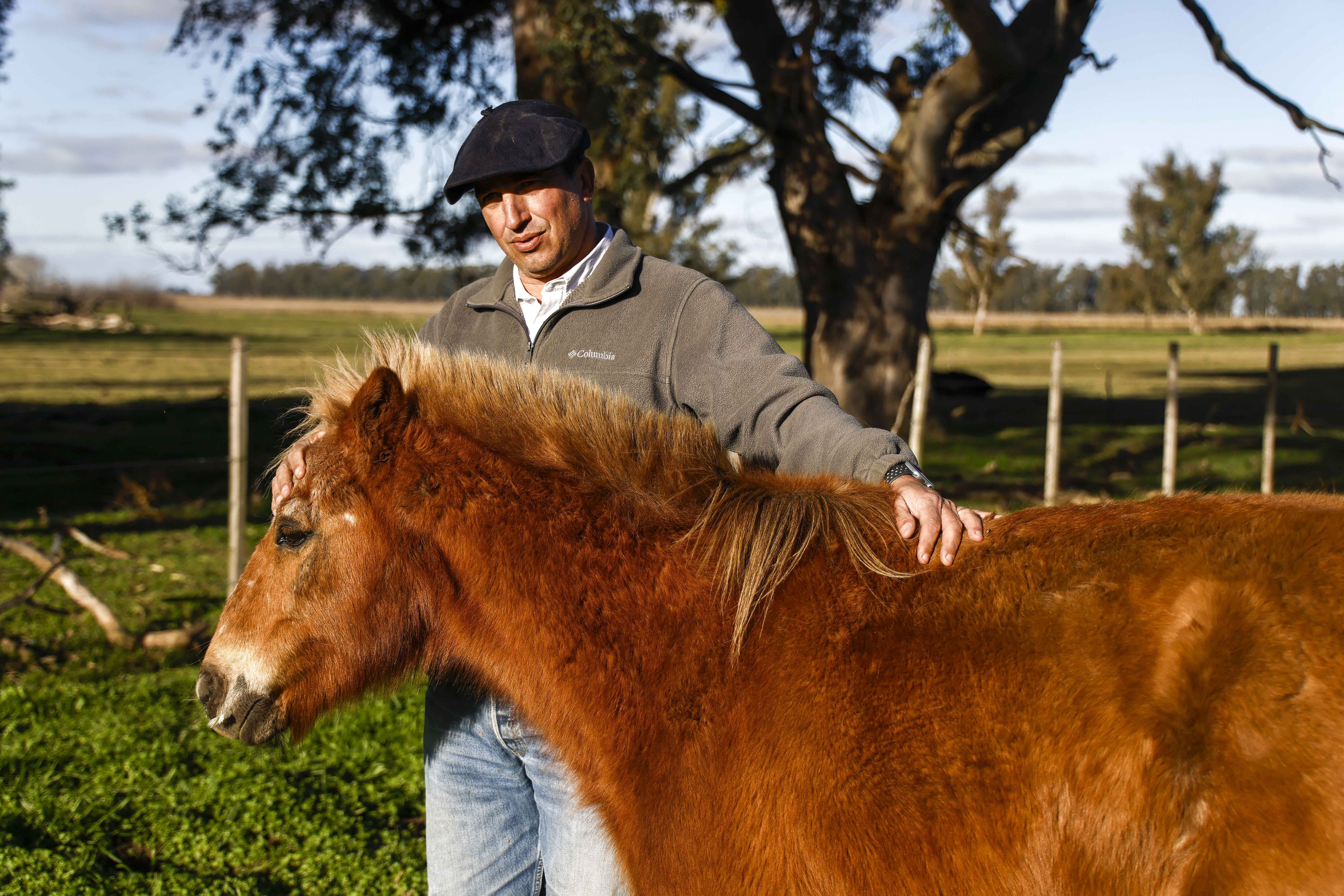 Pedro Vigneau, el candidato de Talerico en la Séptima