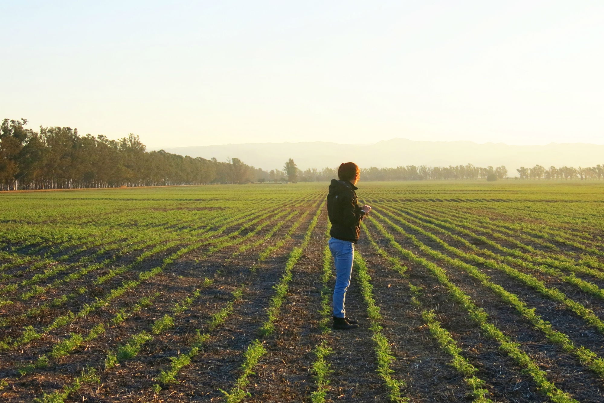 Informe: las mujeres solo manejan dos de cada diez empresas agropecuarias