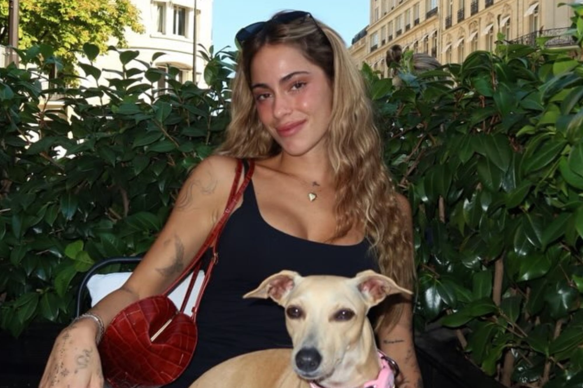 Tini Stoessel paseó por París con Fifi, su perrita rescatada