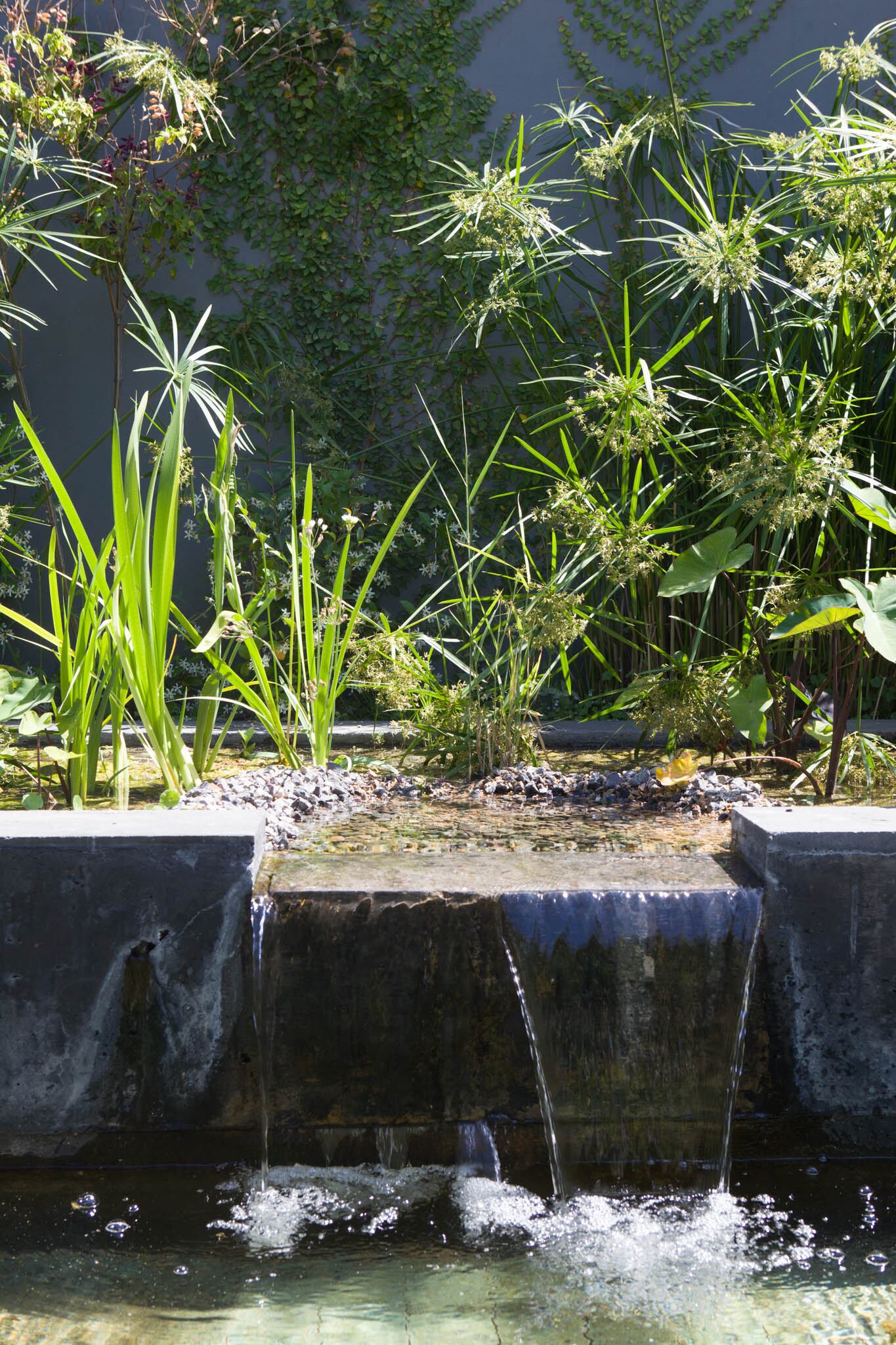 El paisajismo ecosistémico elige especies que no solo se adapten a las condiciones del lugar,sino que generen beneficios ambientales, propiciando el desarrollo de la flora y la fauna locales.