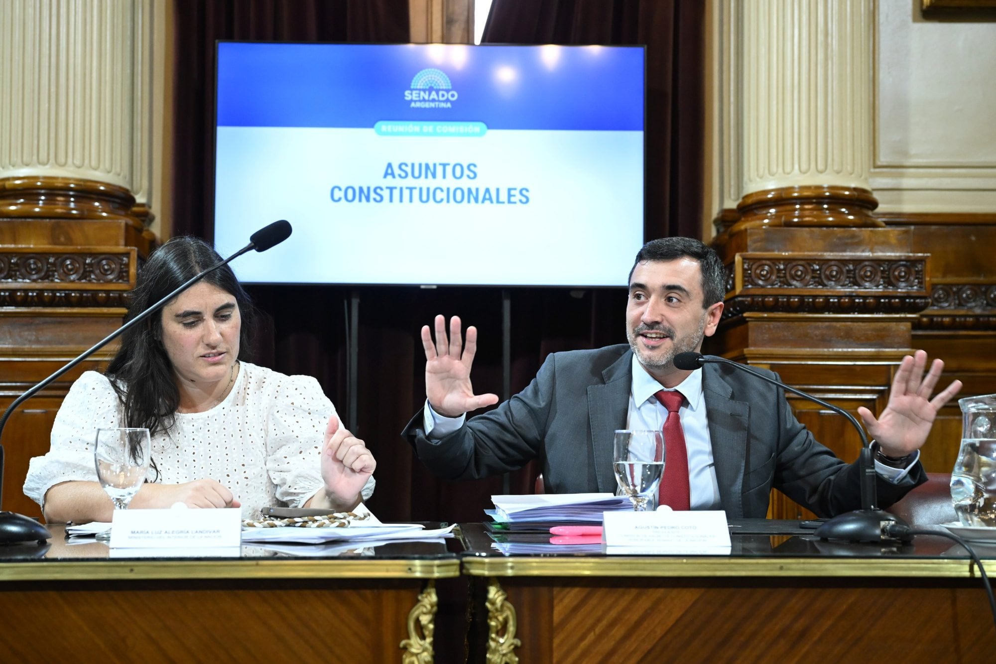 El senador libertario Agustín Coto y la asesora electoral del Ministerio del Interior, María Luz Landívar, durante el último debate de la reforma política en el senado