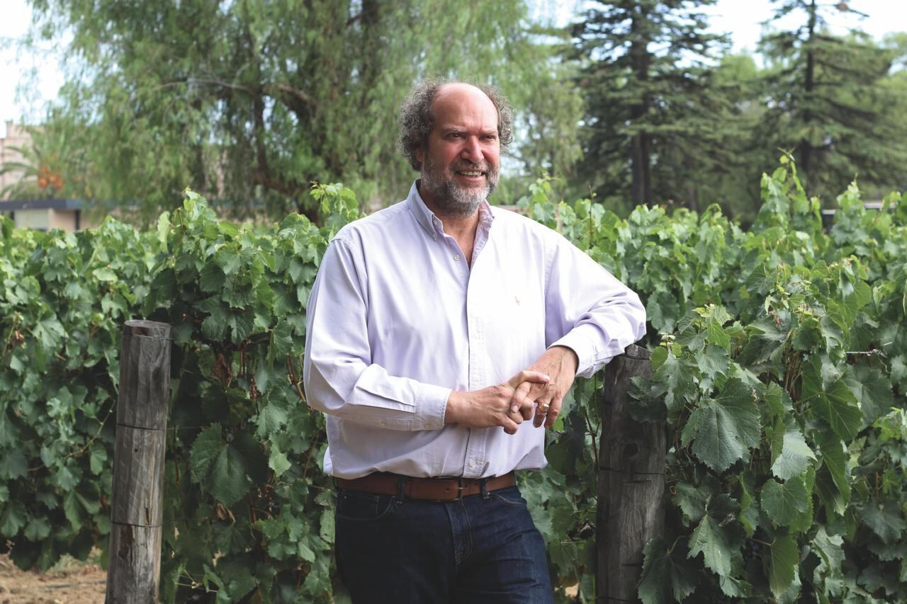 Daniel Pi, entre viñedos