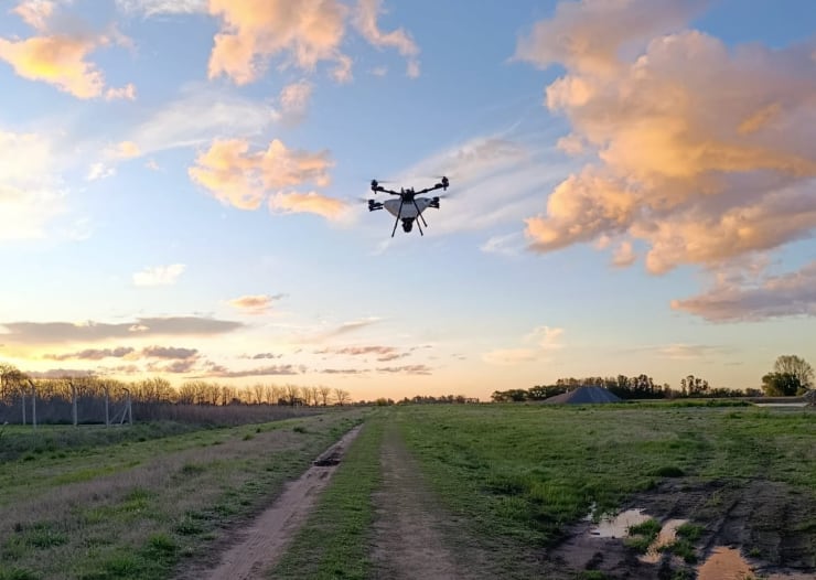 Opinión: en el agro de hoy gana el que más rápido aprende
