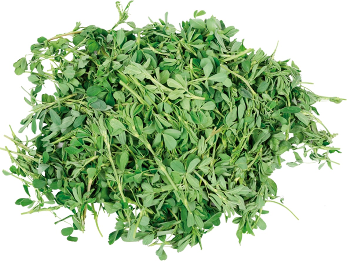 La alfalfa tiene un rol clave como cultivo perenne mejorador del suelo