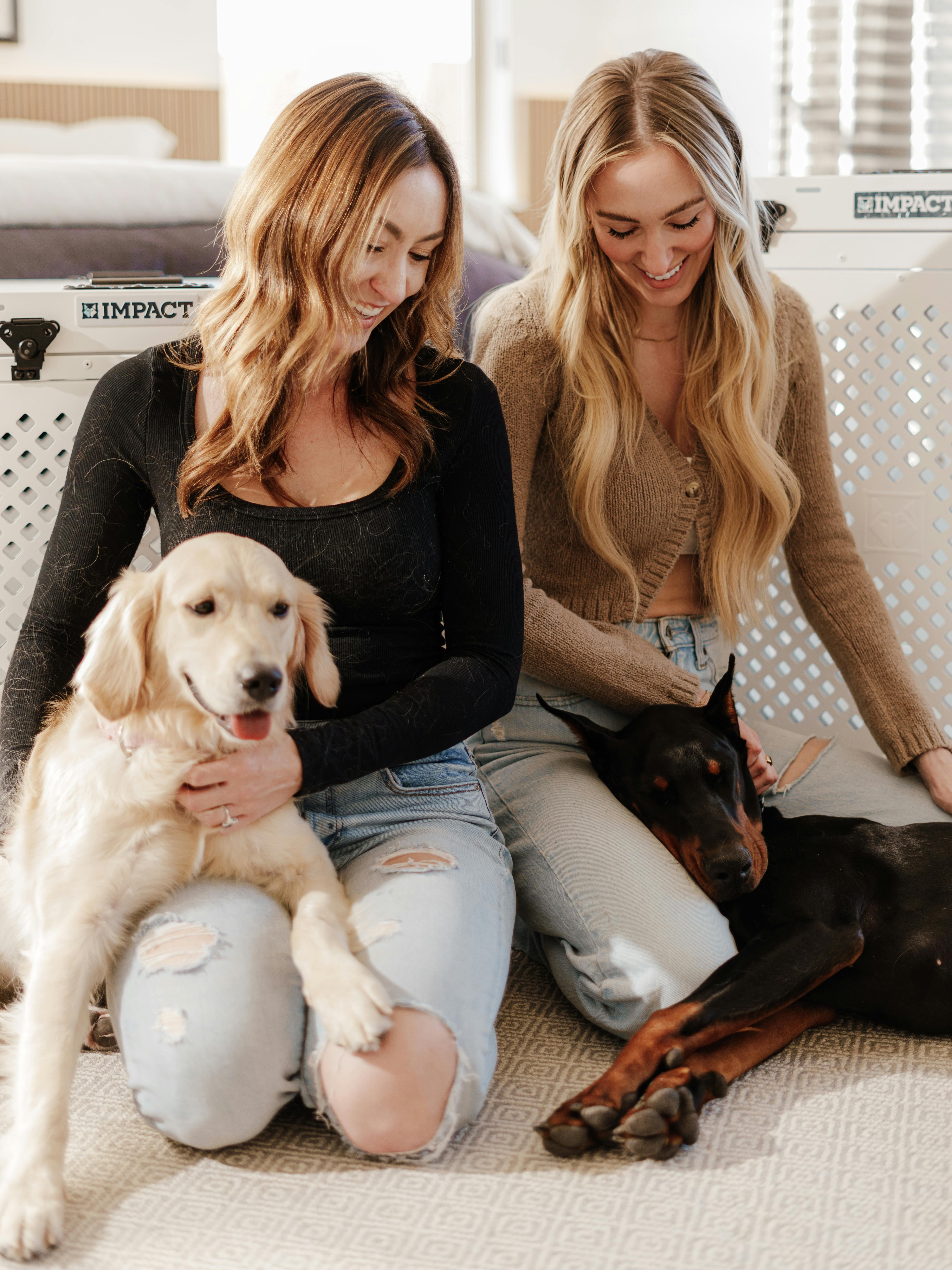 Los perros pueden detectar un embarazo días antes de que la mujer manifieste los primeros síntomas. Durante la gestación, suelen ser más protectores