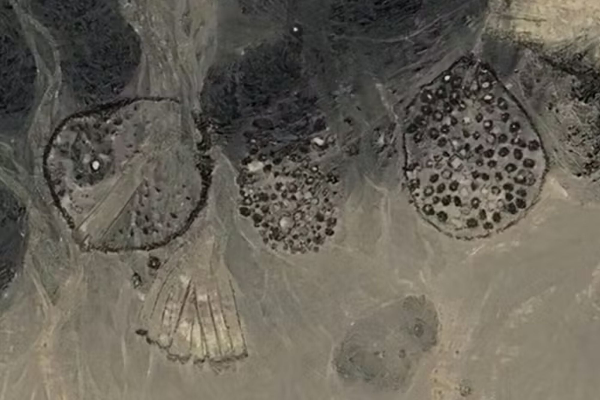 Las imágenes generaron impacto y mucho interés entre la comunidad arqueológica