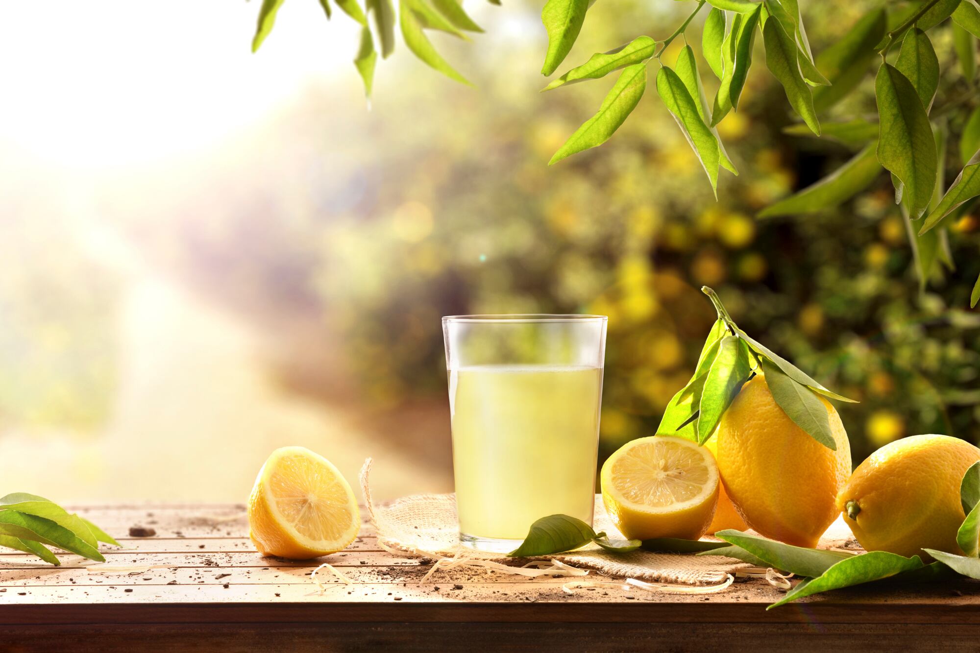 El jugo de limón contiene diferentes propiedades nutricionales que ayudarán a que tu organismo funcione de manera óptima
