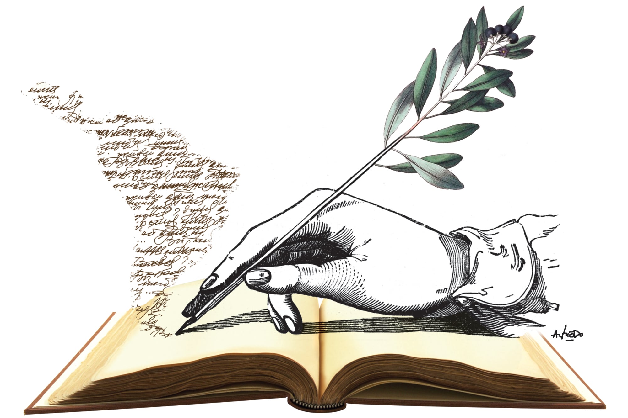 Acertijo con respuesta: selector