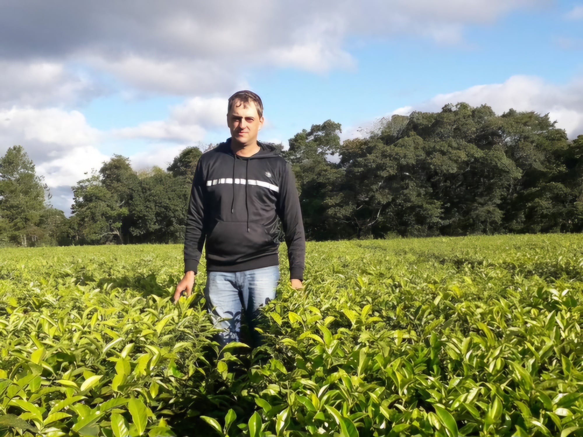 Tras mucho tiempo Klingbeil dejó de ser productor y prestador de servicios en yerba mate y té