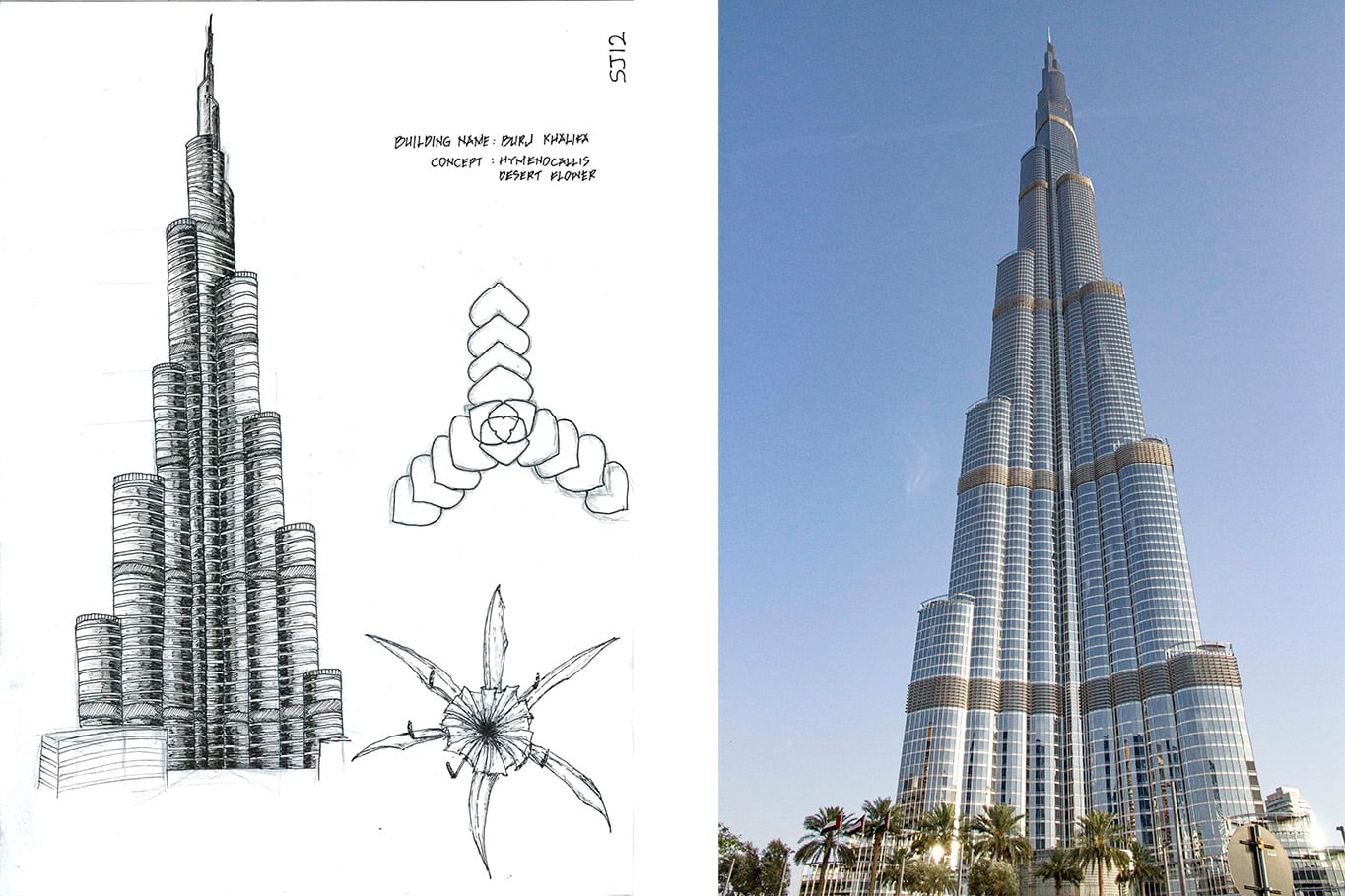 El Burj Khalifa está inspirado en la flor Hymenocallis