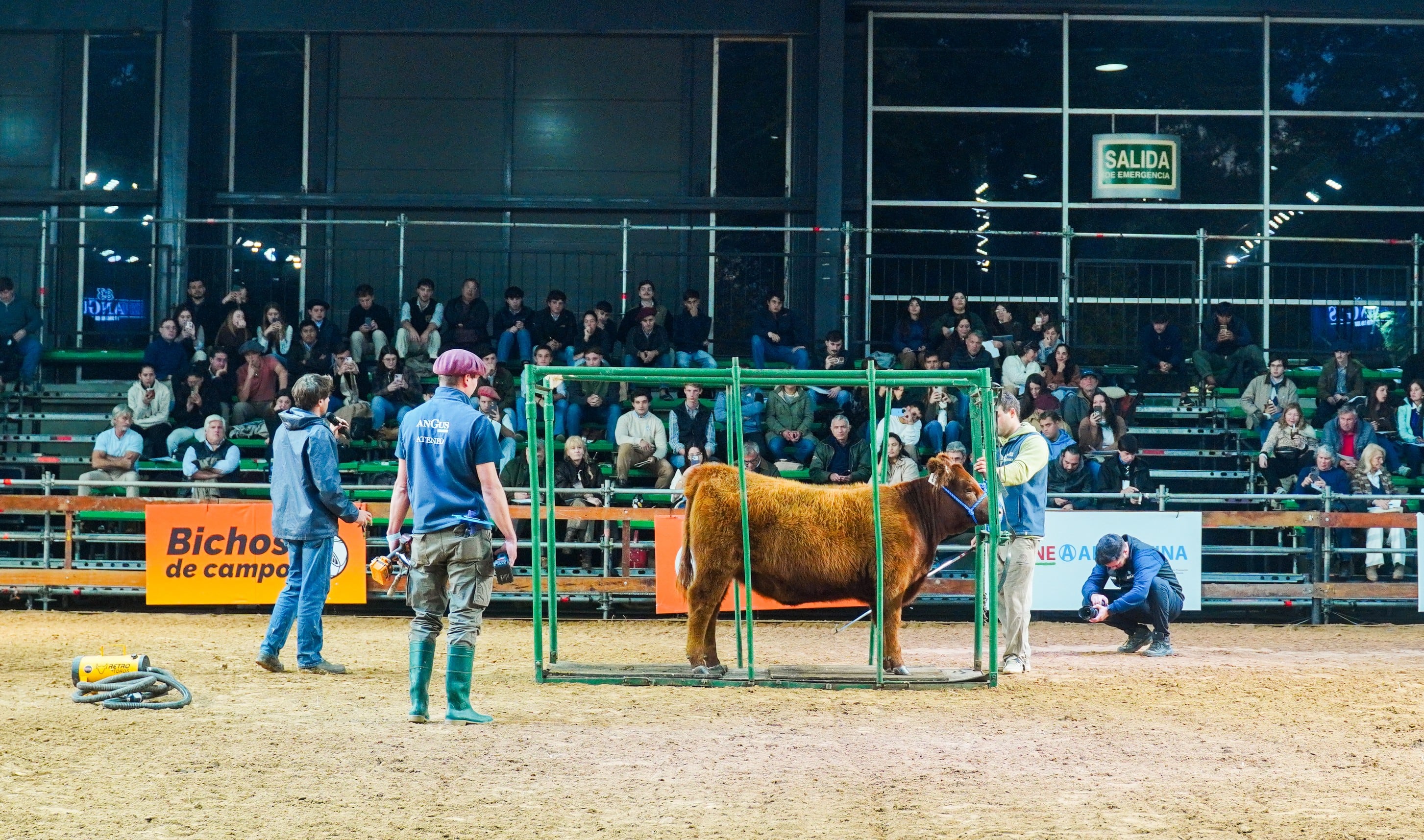Para la entidad, se abre una ventana inédita para la Argentina, donde todos los analistas destacan que van a ser muchos los años de un mercado internacional sostenido porque hay una demanda creciente de carne vacuna de calidad y una oferta que le cuesta mucho crecer