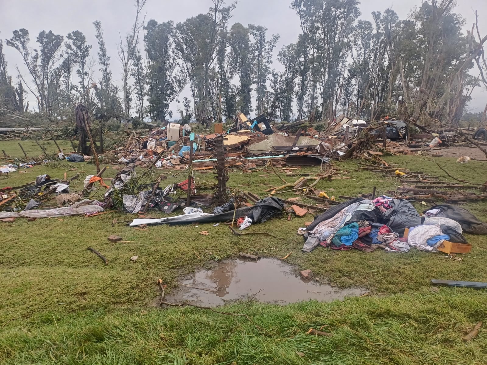 El viento arrastró animales, destruyó alambrados y dejó una franja de campos arrasados en una zona rural bonaerense