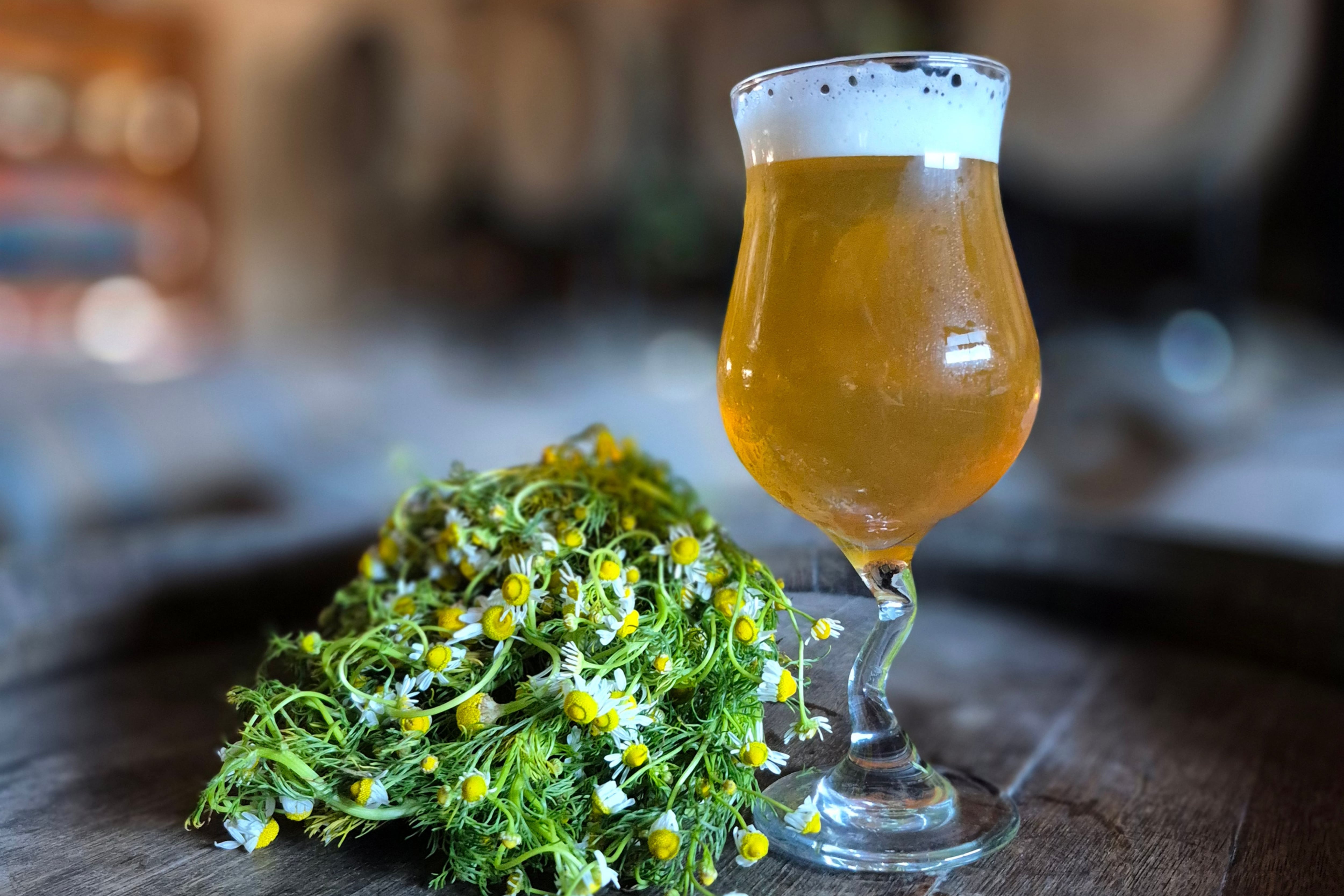A la hora de elegir una cerveza, es importante prestar atención a su color, la espuma y sobretodo el aroma que deja