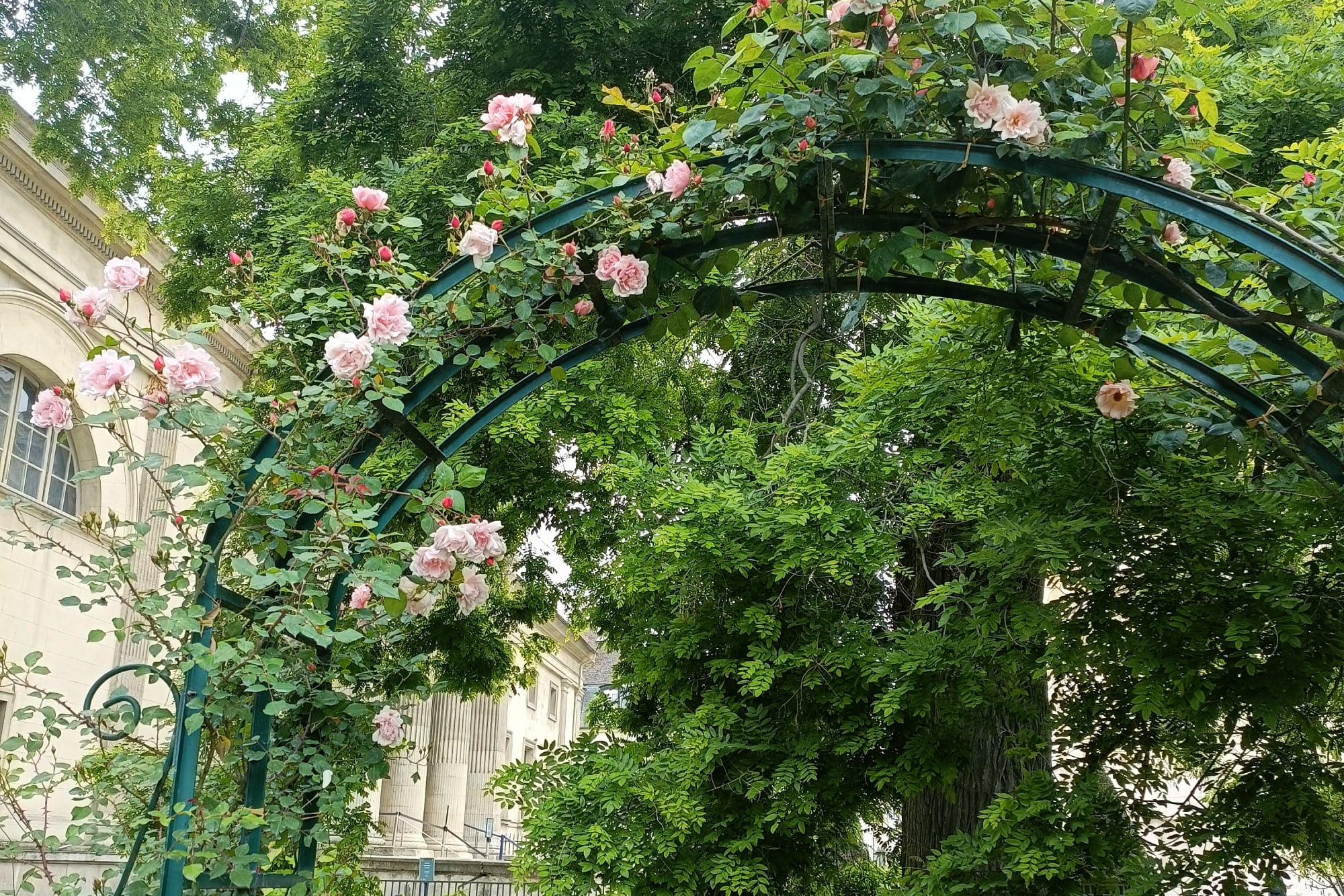 Una foto tomada por Rosa de uno de los paseos parisinos que ama.