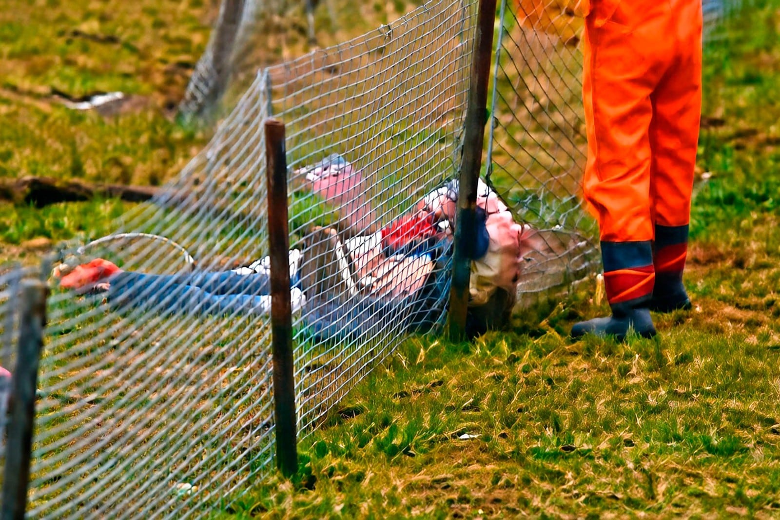 El drama: Gilles Villeneuve sobre el alambrado, donde cayó. Murió a los 32 años