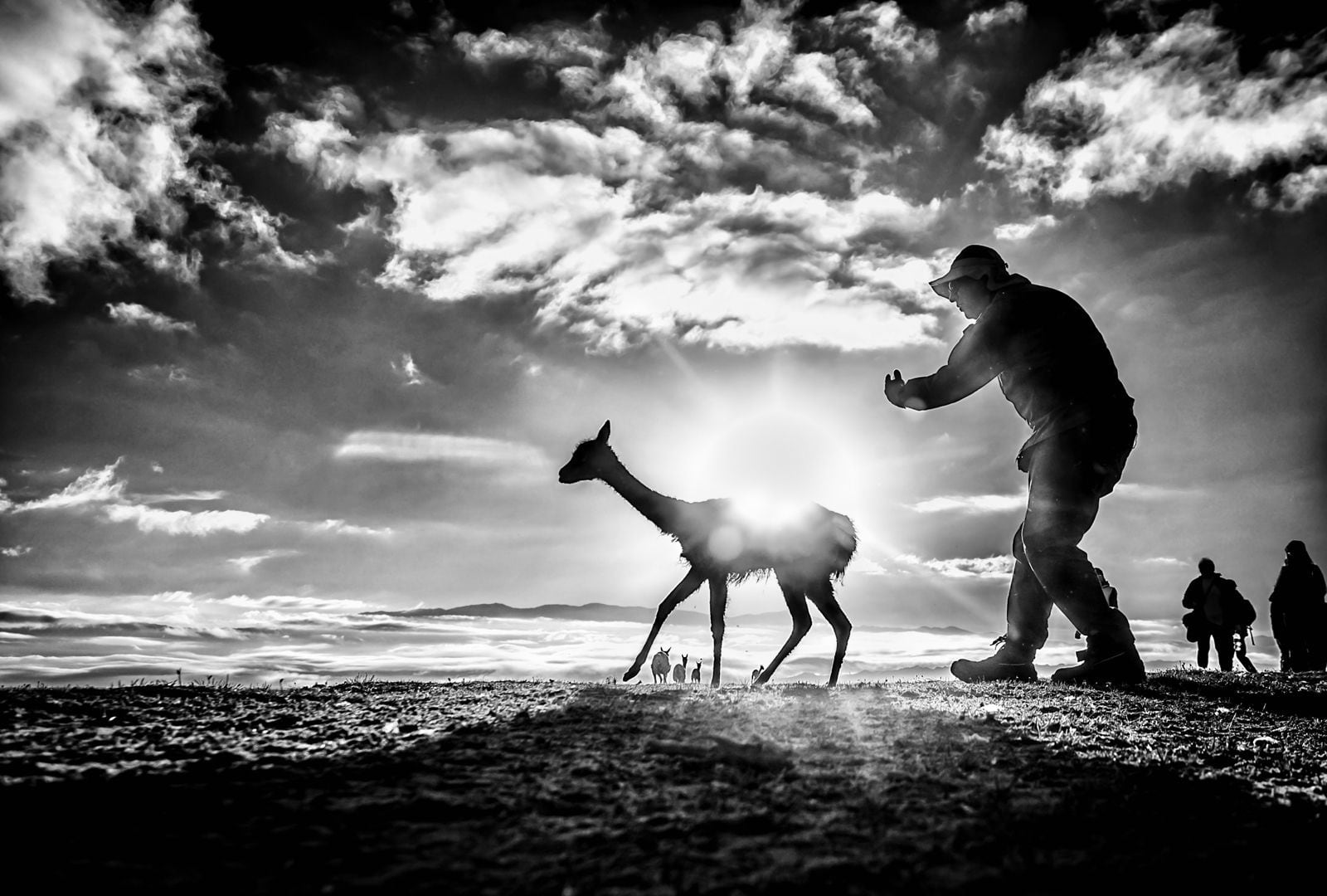 “Yo quiero que mis fotos transmitan esa fuerza que siento en la naturaleza, esa potencia”, dice Frers