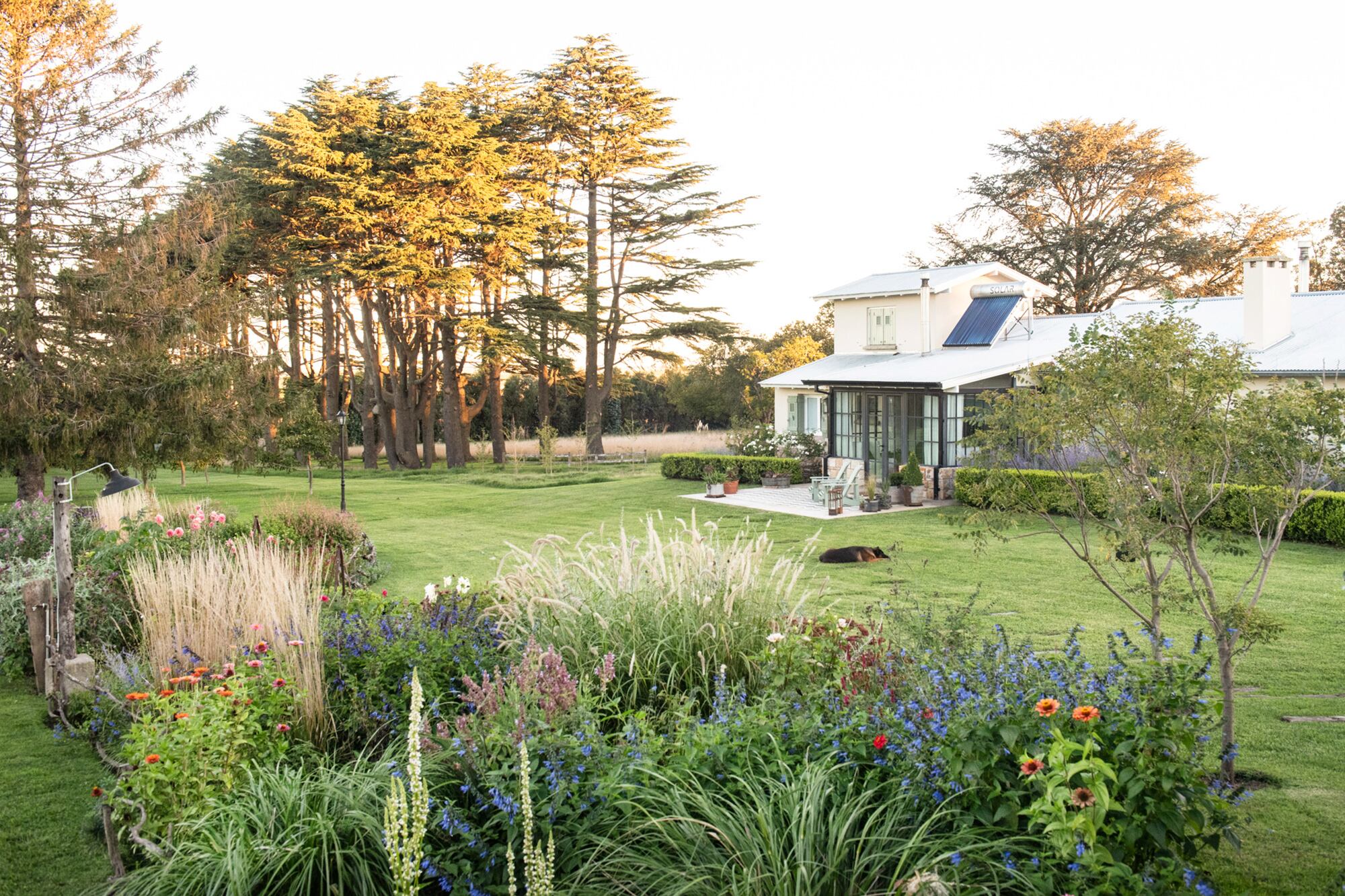 Un generoso cantero de gramíneas y herbáceas, de espaldas a los nogales