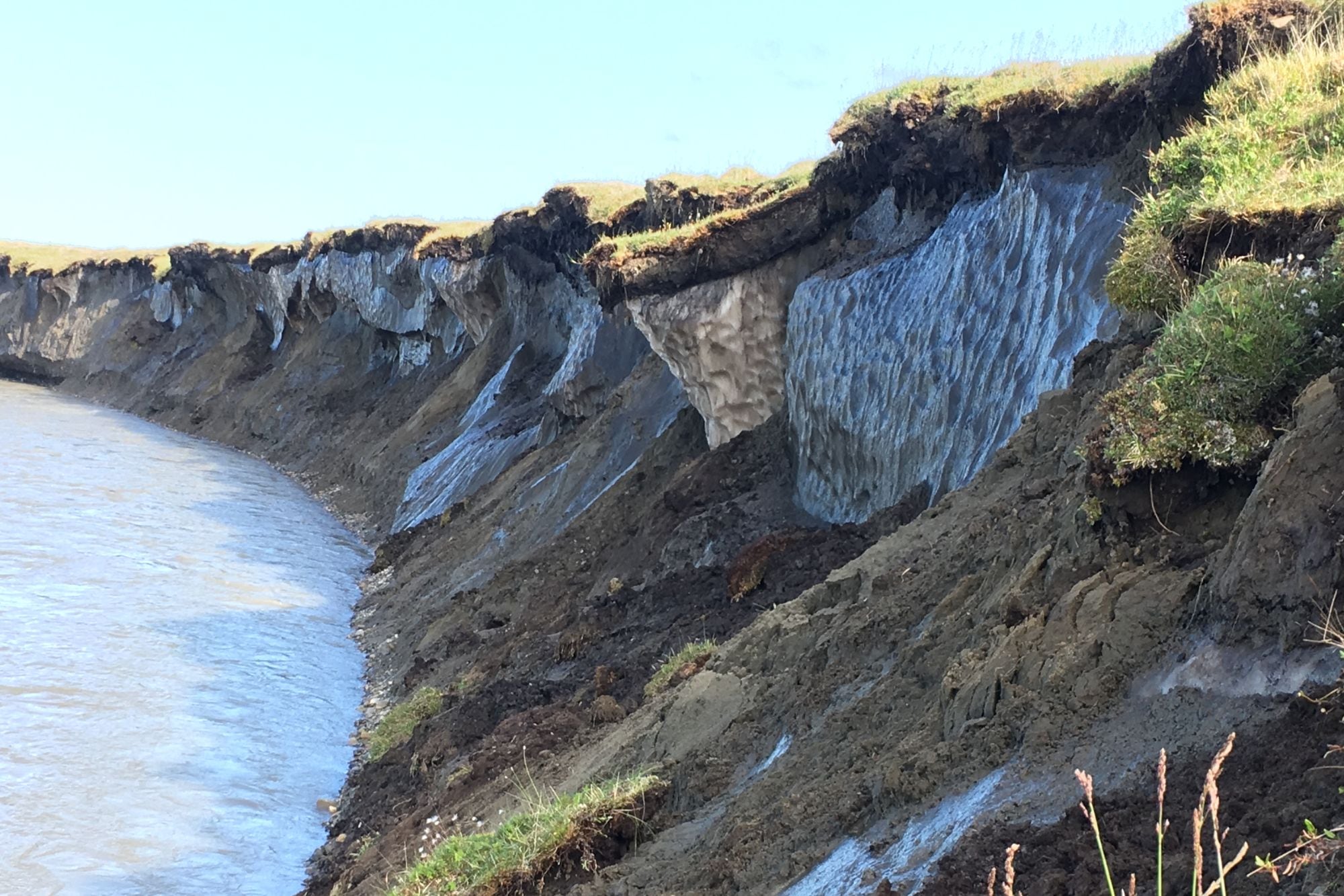 Un laboratorio descongeló y revivió microbios que estuvieron congelados por cuarenta mil años: qué descubrieron