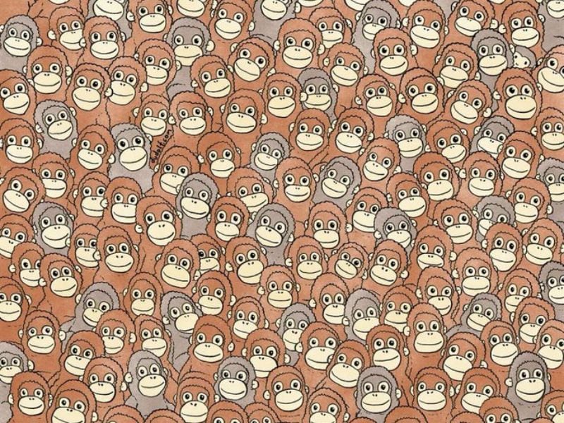 ¿Dónde está Punch? El acertijo viral del mono del momento que solo las mentes más veloces resuelven en 30 segundos