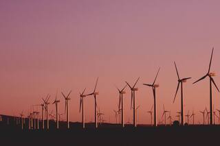 Medio ambiente: después de un 2019 agitado, llegan los desafíos para 2020