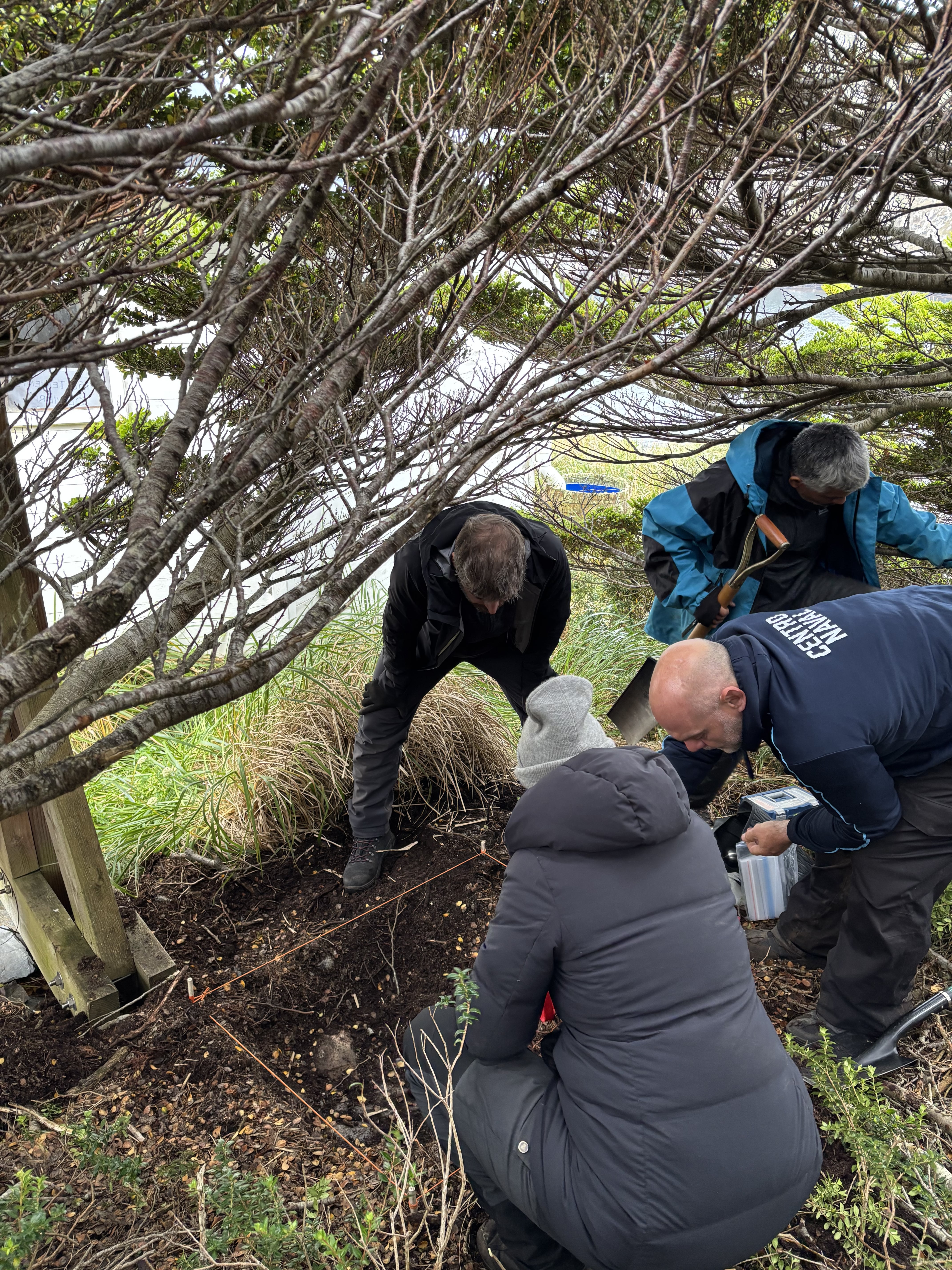 Los arqueólogos Alejandra Raies, Carlos Landa, Sebastián Avila y Nicolasa Ciarlo, trabajando en el área de la casa del farero en San Juan de Salvamento