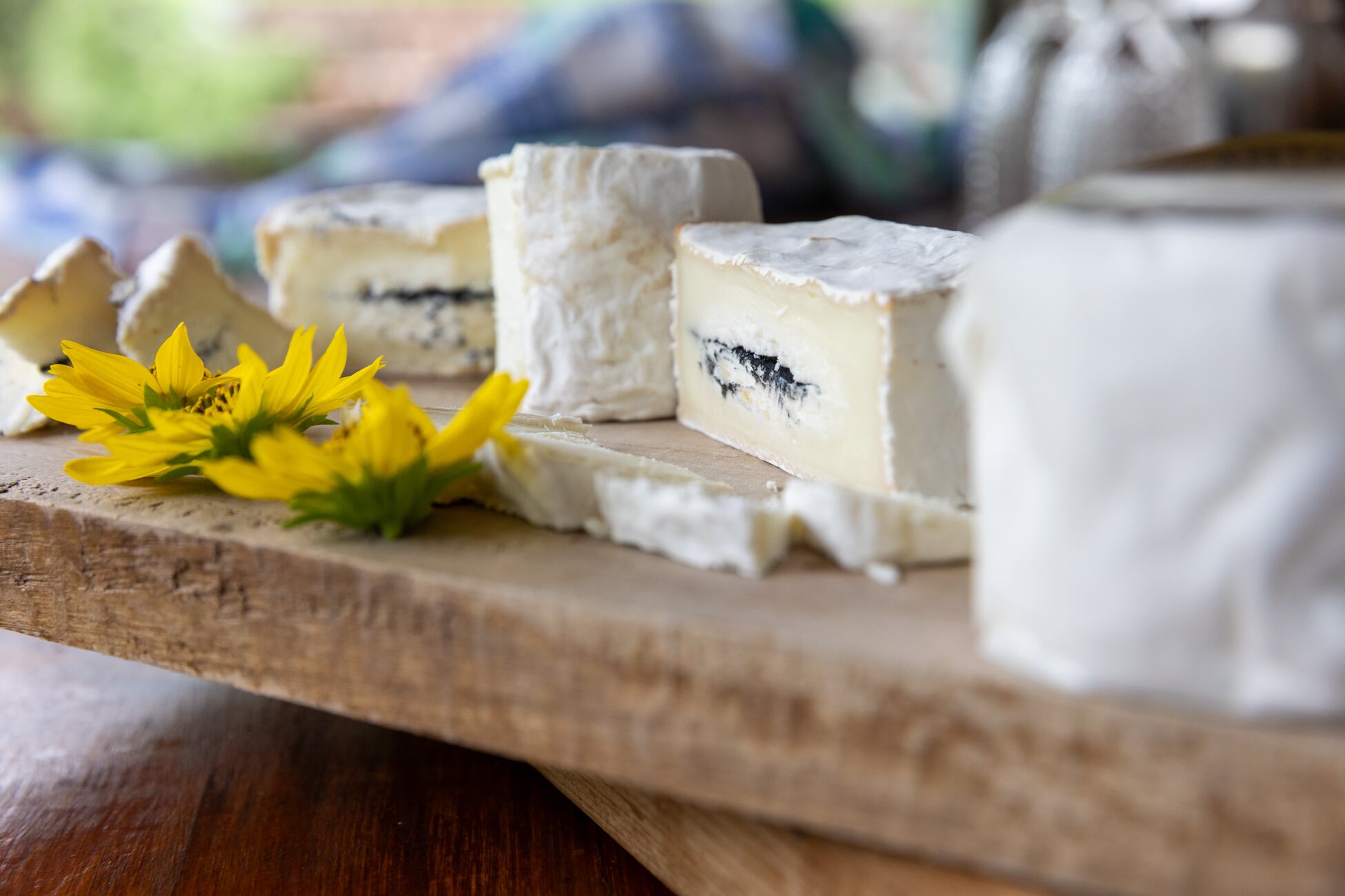 Los quesos de Sudiro llegan a los mejores restaurantes del país.
