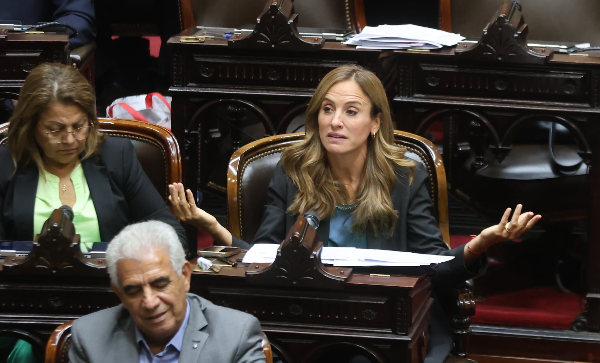 La diputada Victoria Tolosa Paz, en su banca