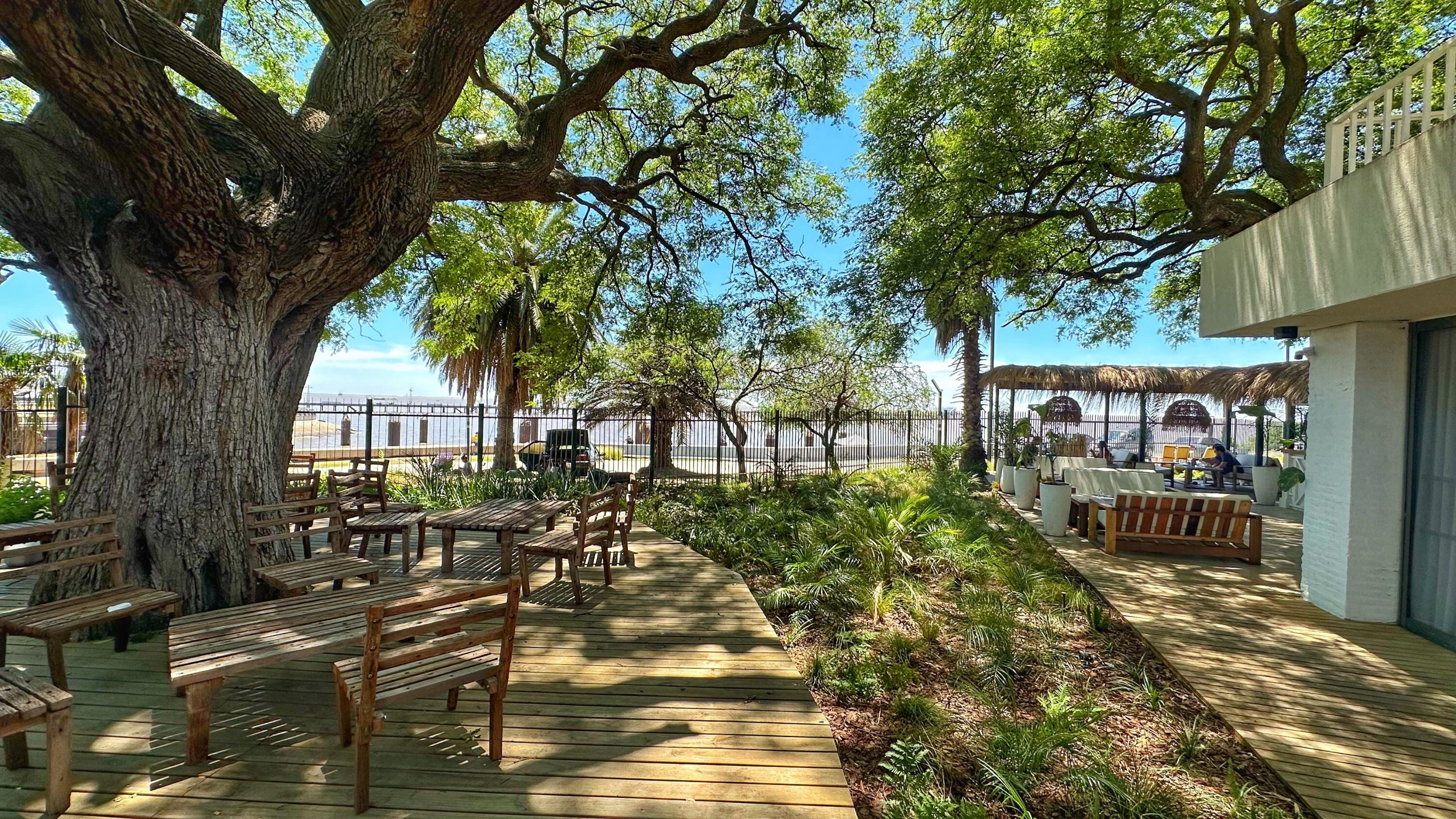No se esperan lluvias para un fin de semana que se muestra perfecto para realizar planes al aire libre