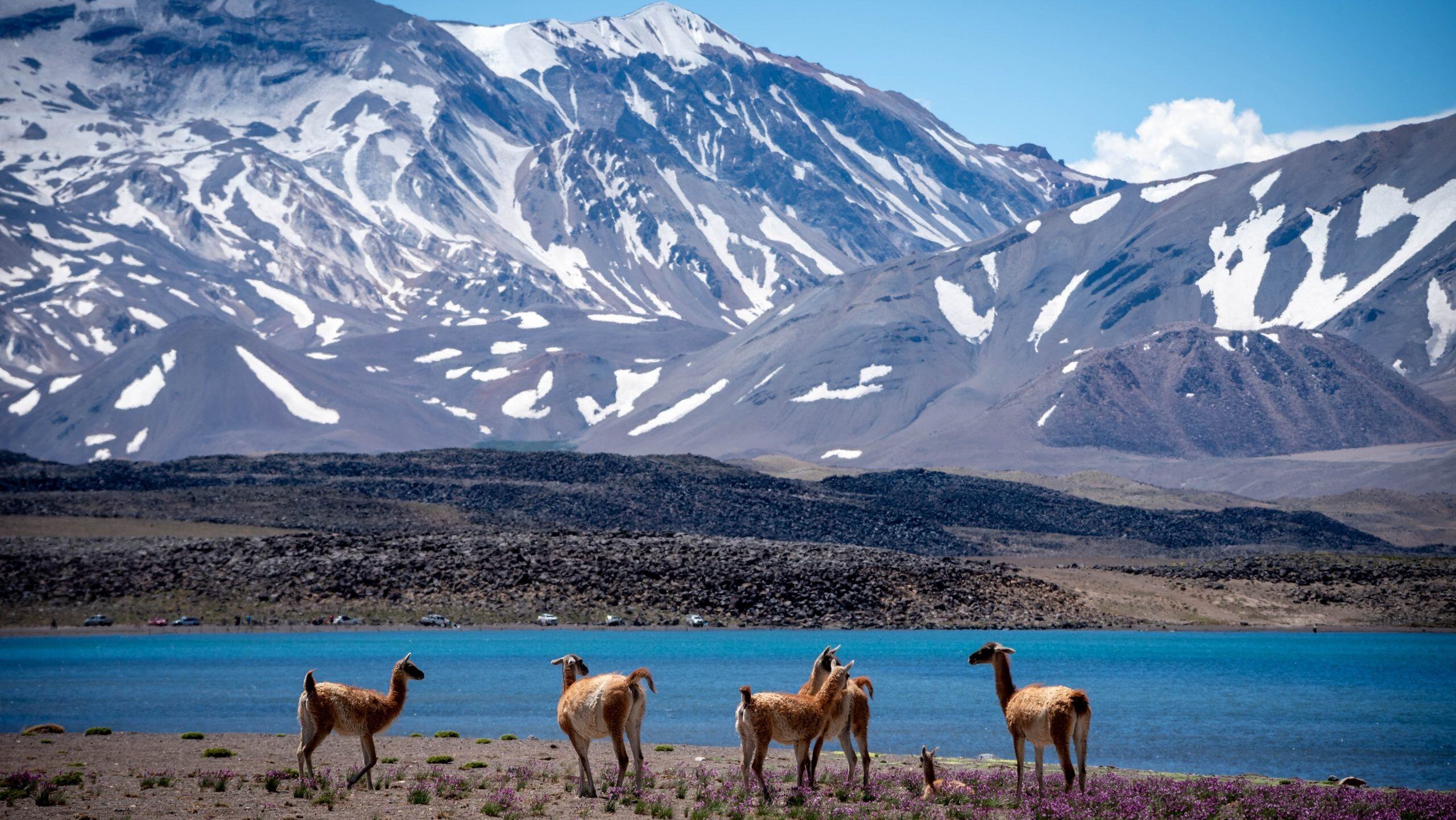 Quienes lleguen a la reserva natural podrán realizar desde senderismo y ciclismo hasta avistaje de fauna y flora